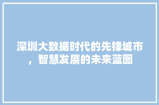 深圳大数据时代的先锋城市，智慧发展的未来蓝图