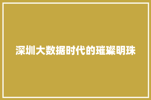 深圳大数据时代的璀璨明珠