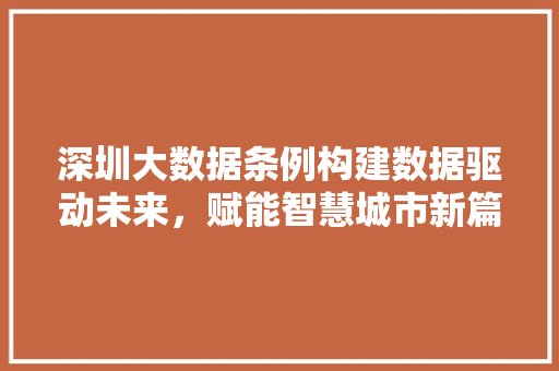 深圳大数据条例构建数据驱动未来，赋能智慧城市新篇章