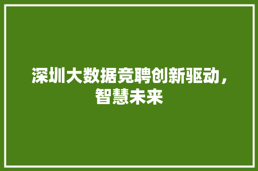 深圳大数据竞聘创新驱动，智慧未来