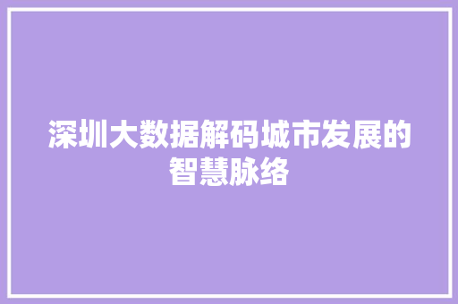 深圳大数据解码城市发展的智慧脉络