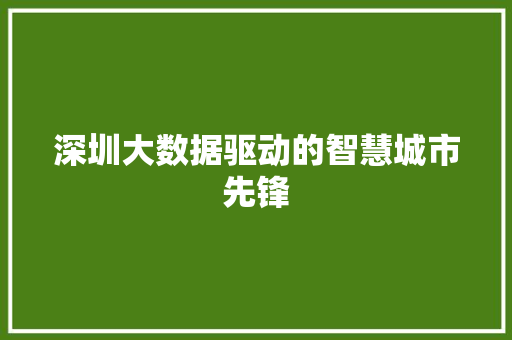 深圳大数据驱动的智慧城市先锋