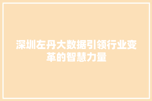 深圳左丹大数据引领行业变革的智慧力量 编程语言