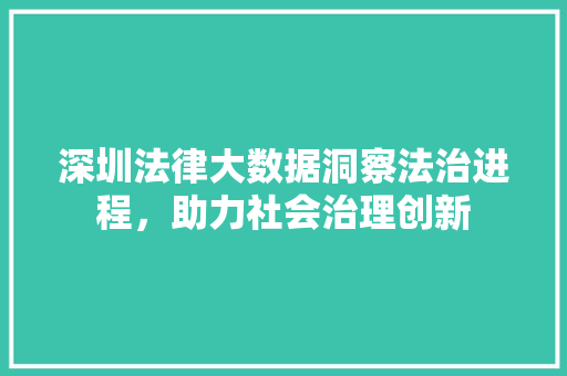 深圳法律大数据洞察法治进程，助力社会治理创新