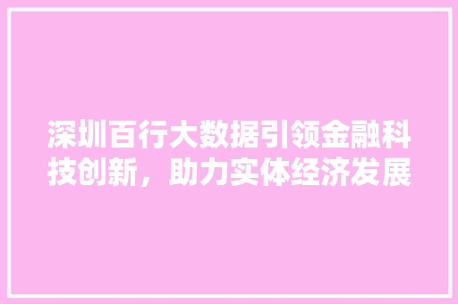 深圳百行大数据引领金融科技创新，助力实体经济发展