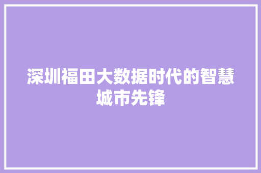 深圳福田大数据时代的智慧城市先锋