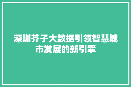 深圳芥子大数据引领智慧城市发展的新引擎