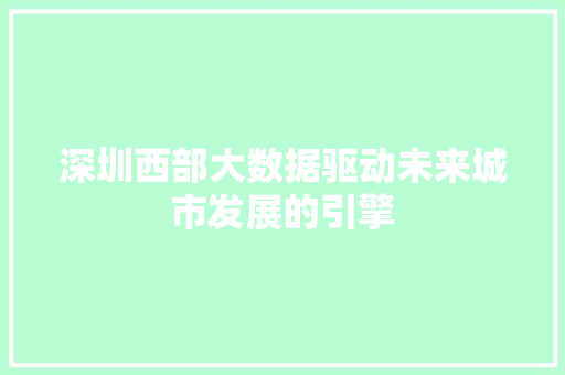 深圳西部大数据驱动未来城市发展的引擎