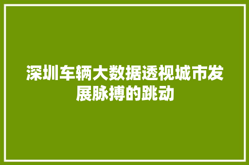 深圳车辆大数据透视城市发展脉搏的跳动
