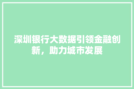深圳银行大数据引领金融创新，助力城市发展