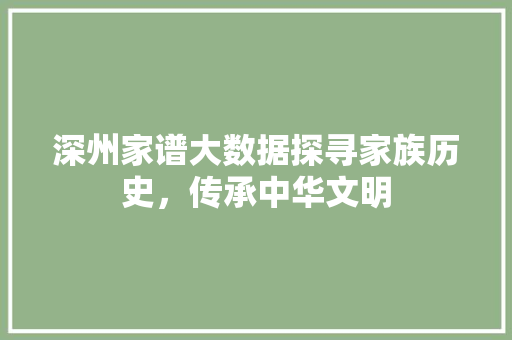 深州家谱大数据探寻家族历史，传承中华文明