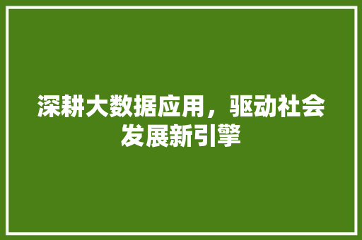 深耕大数据应用，驱动社会发展新引擎
