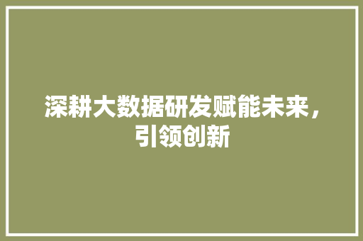 深耕大数据研发赋能未来，引领创新