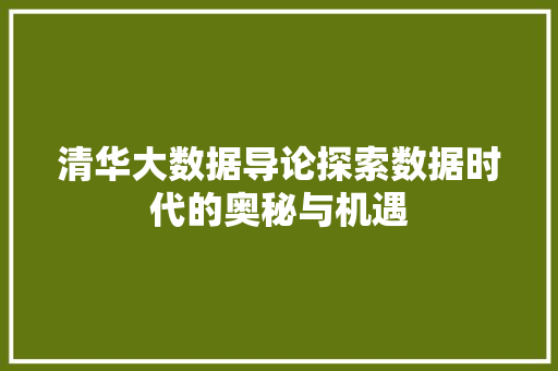清华大数据导论探索数据时代的奥秘与机遇