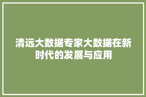 清远大数据专家大数据在新时代的发展与应用