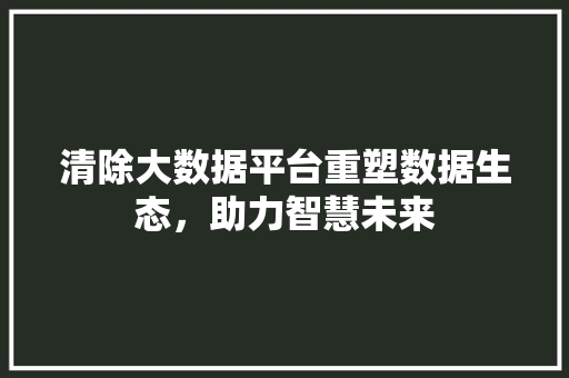 清除大数据平台重塑数据生态，助力智慧未来