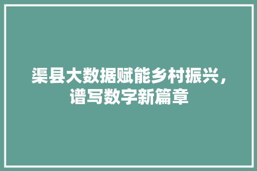 渠县大数据赋能乡村振兴，谱写数字新篇章