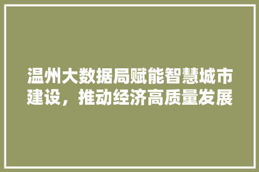 温州大数据局赋能智慧城市建设，推动经济高质量发展