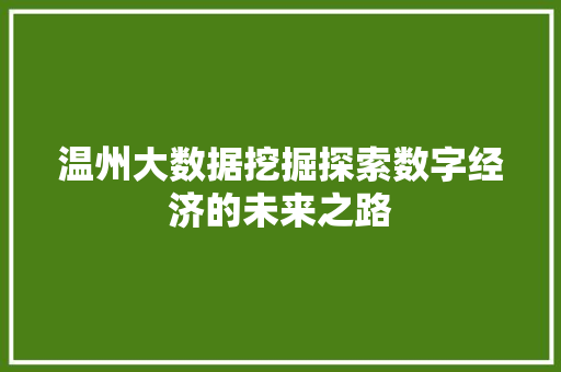 温州大数据挖掘探索数字经济的未来之路