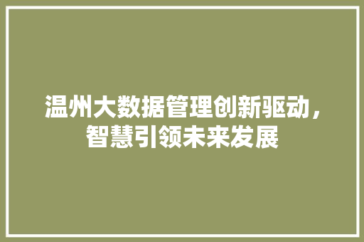 温州大数据管理创新驱动，智慧引领未来发展