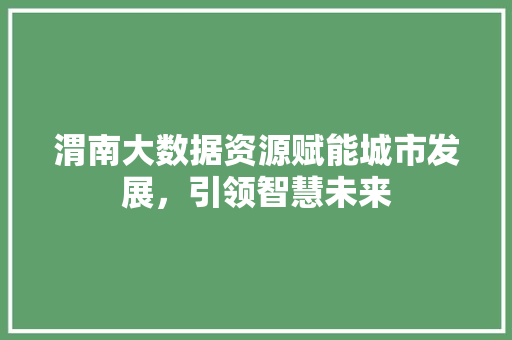 渭南大数据资源赋能城市发展，引领智慧未来