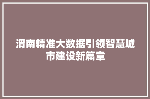 渭南精准大数据引领智慧城市建设新篇章