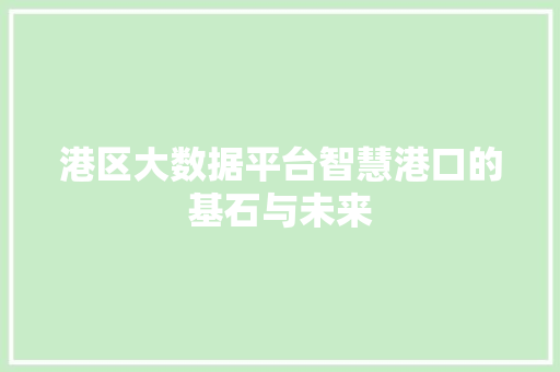 港区大数据平台智慧港口的基石与未来