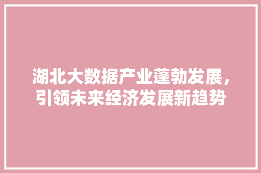 湖北大数据产业蓬勃发展，引领未来经济发展新趋势
