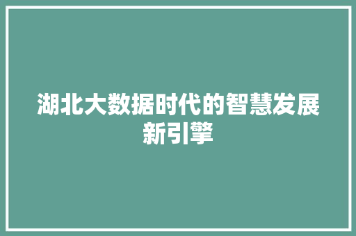 湖北大数据时代的智慧发展新引擎