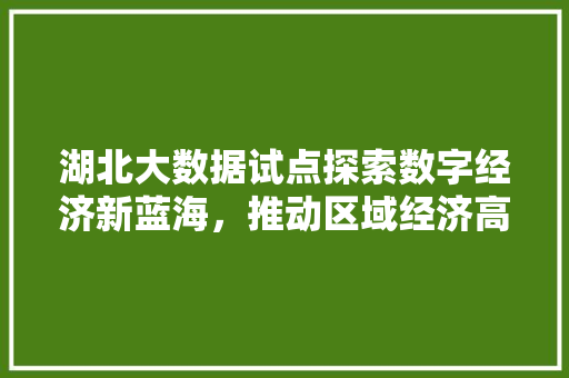 湖北大数据试点探索数字经济新蓝海，推动区域经济高质量发展