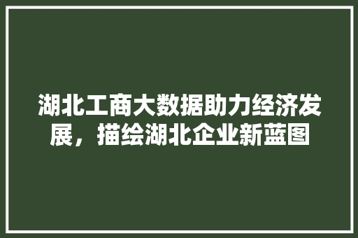 湖北工商大数据助力经济发展，描绘湖北企业新蓝图