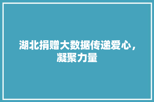 湖北捐赠大数据传递爱心，凝聚力量