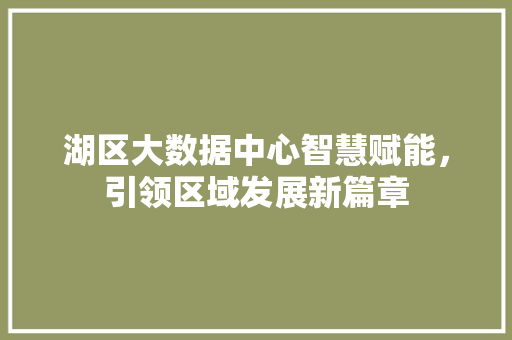 湖区大数据中心智慧赋能，引领区域发展新篇章