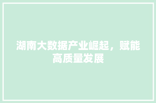 湖南大数据产业崛起,赋能高质量发展 湖南大数据产业崛起,赋能高质量发展