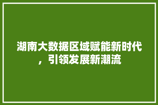 湖南大数据区域赋能新时代,引领发展新潮流 湖南大数据区域赋能新时代,引领发展新潮流