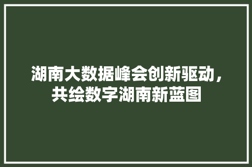 湖南大数据峰会创新驱动，共绘数字湖南新蓝图
