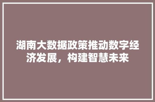 湖南大数据政策推动数字经济发展,构建智慧未来 湖南大数据政策推动数字经济发展,构建智慧未来