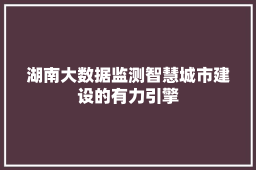 湖南大数据监测智慧城市建设的有力引擎