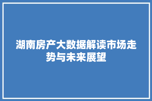湖南房产大数据解读市场走势与未来展望