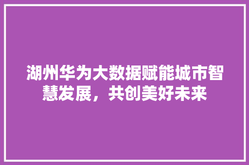 湖州华为大数据赋能城市智慧发展，共创美好未来