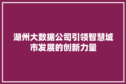 湖州大数据公司引领智慧城市发展的创新力量