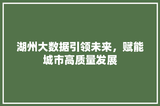 湖州大数据引领未来，赋能城市高质量发展
