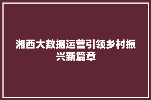 湘西大数据运营引领乡村振兴新篇章