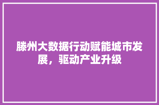滕州大数据行动赋能城市发展，驱动产业升级