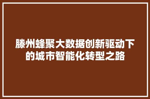 滕州蜂聚大数据创新驱动下的城市智能化转型之路