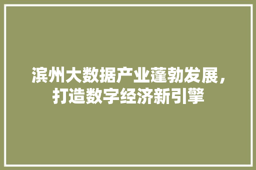 滨州大数据产业蓬勃发展,打造数字经济新引擎 滨州大数据产业蓬勃发展,打造数字经济新引擎