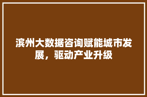 滨州大数据咨询赋能城市发展，驱动产业升级