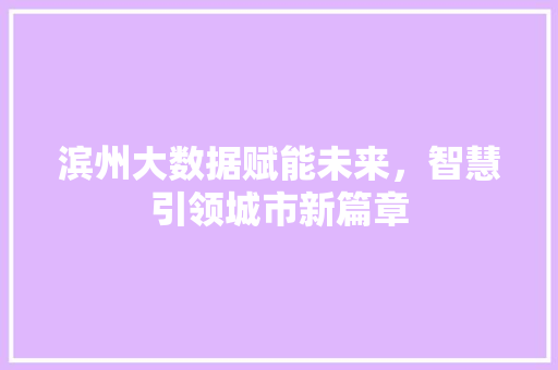 滨州大数据赋能未来，智慧引领城市新篇章