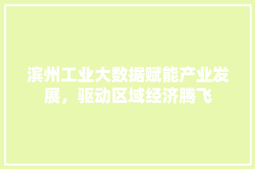 滨州工业大数据赋能产业发展，驱动区域经济腾飞