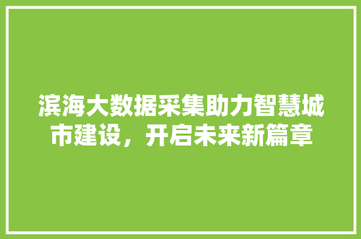 滨海大数据采集助力智慧城市建设，开启未来新篇章